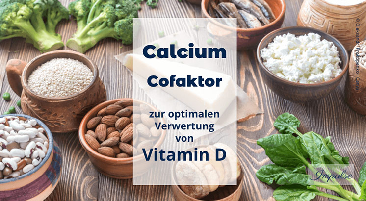 Calcium dient als Cofaktor zur optimalen Verwertung von Vitamin D